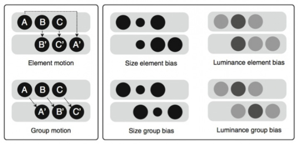Illustration of biased Ternus motion.